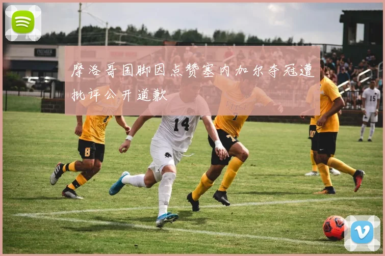 摩洛哥国脚因点赞塞内加尔夺冠遭批评公开道歉